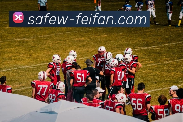 多媒体互动体验